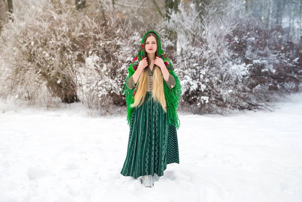 Linda loira posando ao ar livre na floresta de inverno - Foto, Imagem