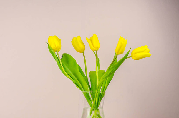 um buquê de tulipas amarelas ao sol perto. Foto de alta qualidade - Foto, Imagem