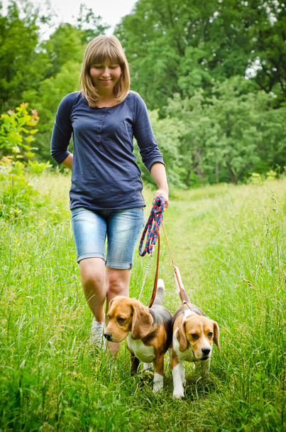 Femme avec beagle
 - Photo, image