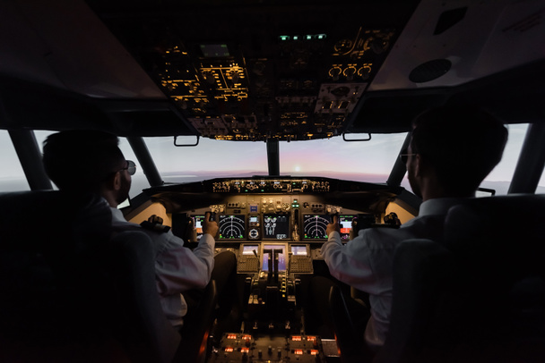 vista posterior de los profesionales que pilotean aviones modernos - Foto, Imagen