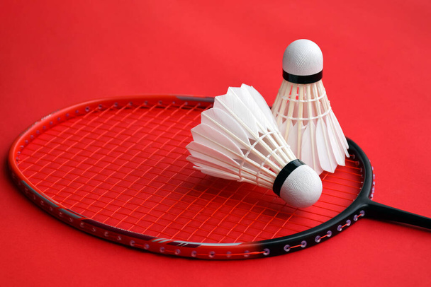 Cream white badminton shuttlecock and racket on red floor in indoor badminton court, copy space, soft and selective focus on shuttlecocks. - Photo, image