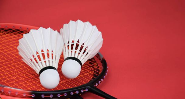 Cream white badminton shuttlecock and racket on red floor in indoor badminton court, copy space, soft and selective focus on shuttlecocks. - Photo, Image