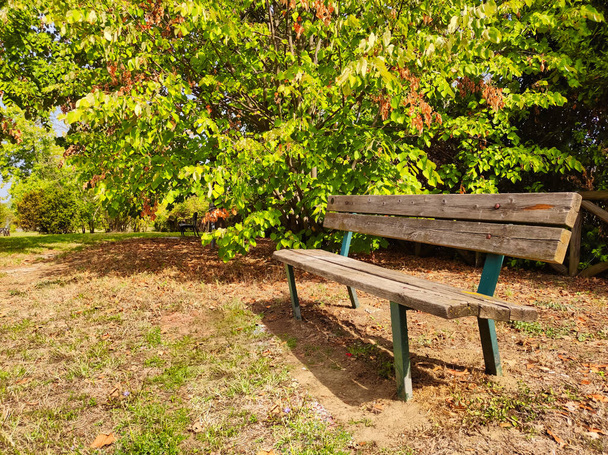 Bench in a park in a sunny day of spring - Foto, immagini
