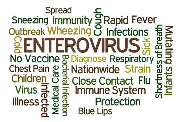 Entérovirus
 - Photo, image