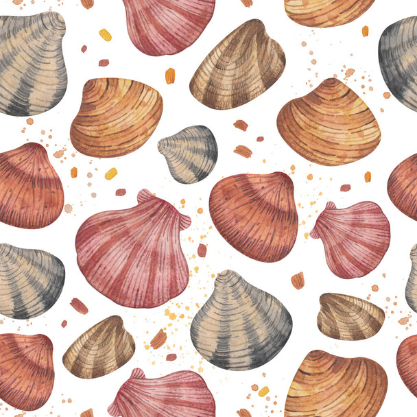 Watercolor illustration with shells and sand particles on a white background. For your design. Perfect for designing postcards, notebooks , and more. - Foto, imagen