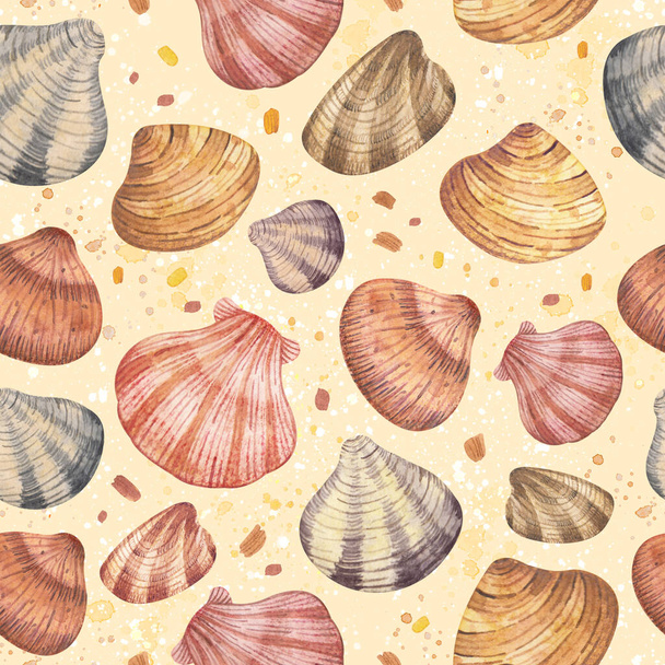 Watercolor illustration with shells and sand particles on a beige background. For your design. Perfect for designing postcards, notebooks , and more. - 写真・画像