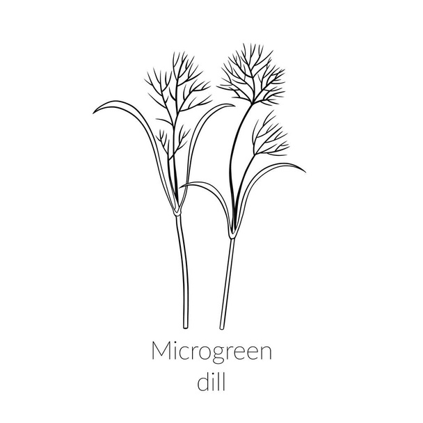 Giovane aneto microverde - Vettoriali, immagini