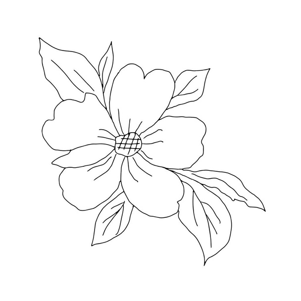 A Black Vector illustration of a wild rose flower with leaves isolated on a white background - Vector, Image
