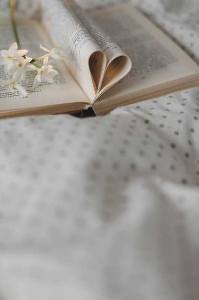 Book with pages folded into a heart shape. valentines festive background with bokeh. - Foto, Imagem