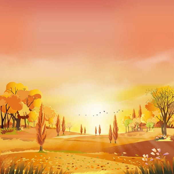 Jesienny wiejski krajobraz w wieczornym świetle z zachodem słońca, żółty, różowy, pomarańczowe tło nieba, Vector Cartoon jesień sezon na wsi z drzewa leśnego i trawy pola z wschodem słońca, tło naturalny sztandar  - Wektor, obraz