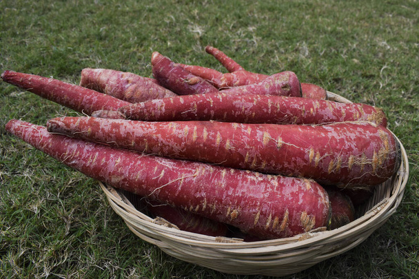 Свежевыщипанная красная морковь в бамбуковой корзине - Фото, изображение