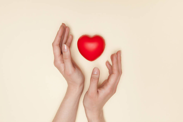 Health, medicine and charity concept - close up of female hands with small red heart. - Foto, Bild