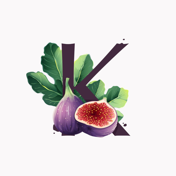 Písmeno K logo s čerstvým zralým fialovým fíkovým ovocem a plátky s listem. Vektorové akvarel ručně kreslené ilustrace, izolované na bílém pozadí. - Vektor, obrázek