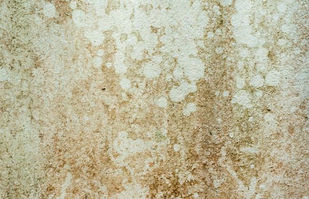 Текстура стін і фон
 - Фото, зображення