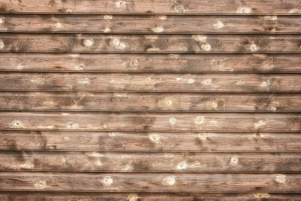 Woody wall texture from boards with knots, background. - Photo, Image