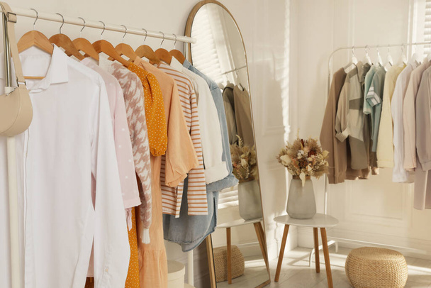Modern dressing room interior with stylish clothes and beautiful dry flowers - Foto, Imagen