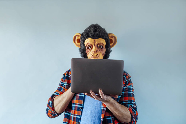Człowiek noszący maskę małpy i korzystający z laptopa. - Zdjęcie, obraz