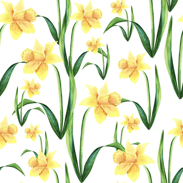 Illustration in watercolor of a Narcissus flower blossom. Botanical nice hand drawn painting.Seamless pattern - Foto, afbeelding