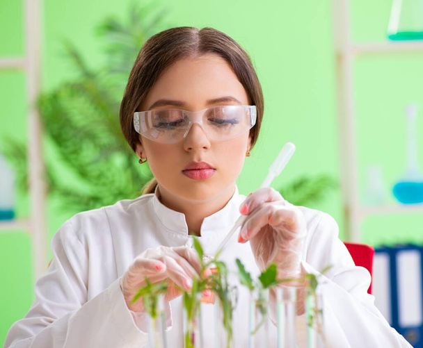Bella scienziata biotecnologica donna chimico che lavora in laboratorio - Foto, immagini