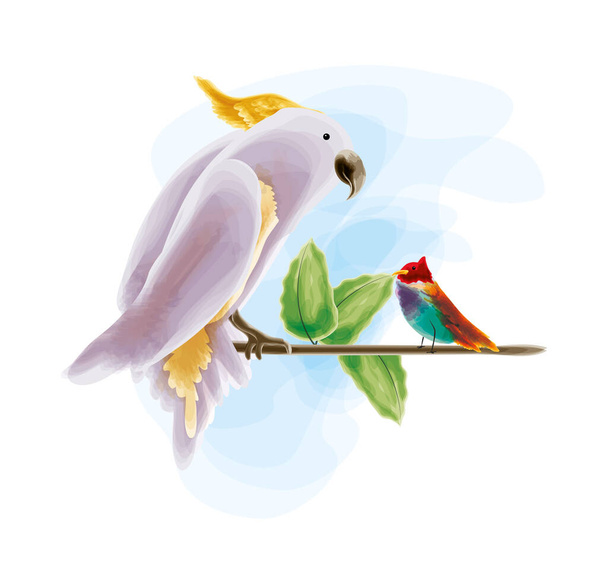cockatoo and bird - Vector, Image