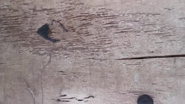 ξεπερασμένη και σαπισμένη ξυλεία σανίδας τοίχου - Πλάνα, βίντεο