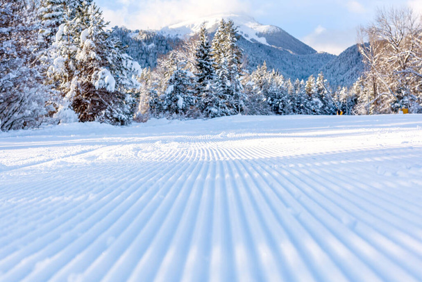 ブルガリアのバンスコ、新鮮な圧雪バーンと専用の山の峰の景色 - 写真・画像