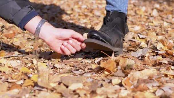 Samice ukazuje rozervané boty, stojící na svěžích spadlých listech v podzimním lese - Záběry, video