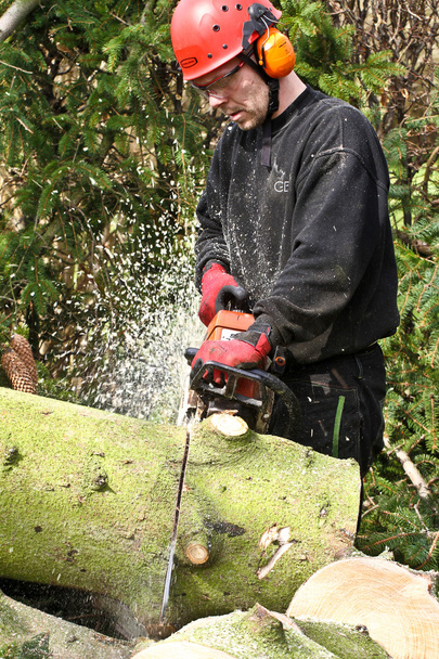 Woodcutter with chainsaw in forest - Φωτογραφία, εικόνα