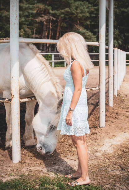 Spring - summer season, concept of hobby, Woman with a horse on a nature, relationship human and animals - Photo, Image