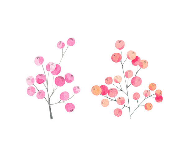 Watercolor set of orange, pink berry branches on a white background - Foto, Bild