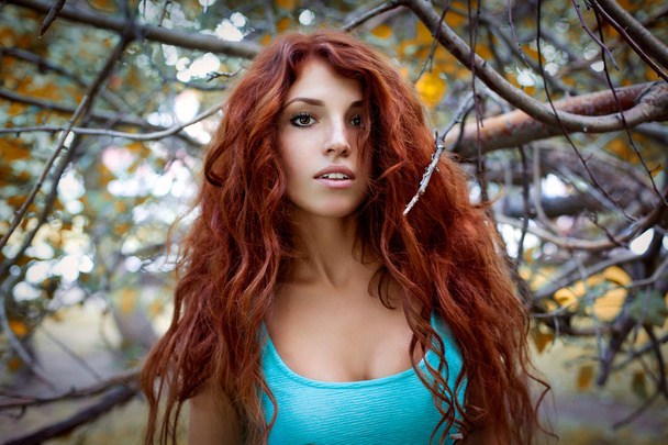 Girl with red hair in the forest - Photo, Image