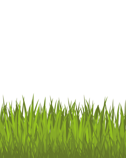 Green grass. - Vector, afbeelding