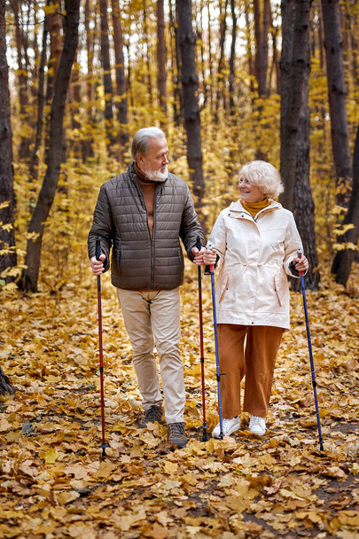Nice elderly couple in love engaged in Nordic walking going in autumn nature. - Photo, image