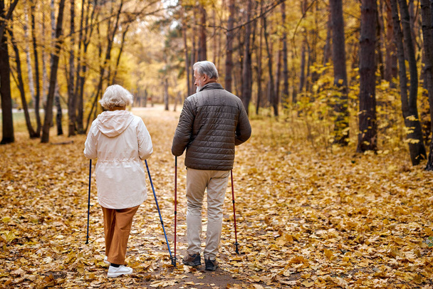 Nordic walking, rear view on elderly couple walk with canes in autumn park. Sports exercises - 写真・画像