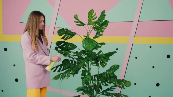 Woman Is Spraying Water On Big Houseplant - Footage, Video