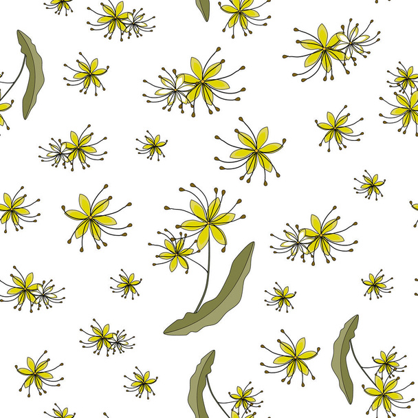 Seamless pattern. linden flowers. Tilia europaea, common linden or common index. a twig with small yellow flowers. medicinal plant on a white background. Botanical vector illustration. for fabric and - Wektor, obraz