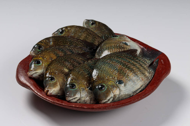 Verse rauwe Kari meen _ Pearl spot fish arranged in a earthenware. - Foto, afbeelding