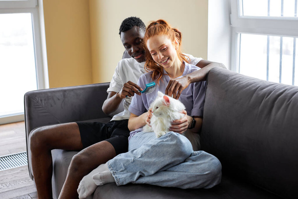 redhead lady and black man couple brushing cute white cat at home, sitting on sofa - Foto, Imagem