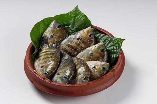 Verse rauwe Kari meen _ Pearl spot vis gerangschikt in een Macaranga peltata blad of vattayila in een aardewerk. - Foto, afbeelding