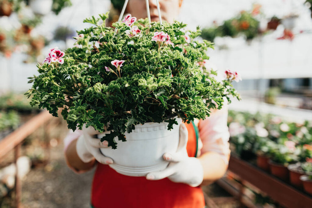 Szczęśliwa i pozytywna młoda kobieta pracuje w szklarni i cieszy się pięknymi kwiatami. - Zdjęcie, obraz