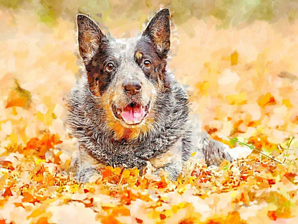 Perro tacón azul tendido en hojas naranjas, fondo borroso de otoño. Pintura acuarela. - Foto, imagen