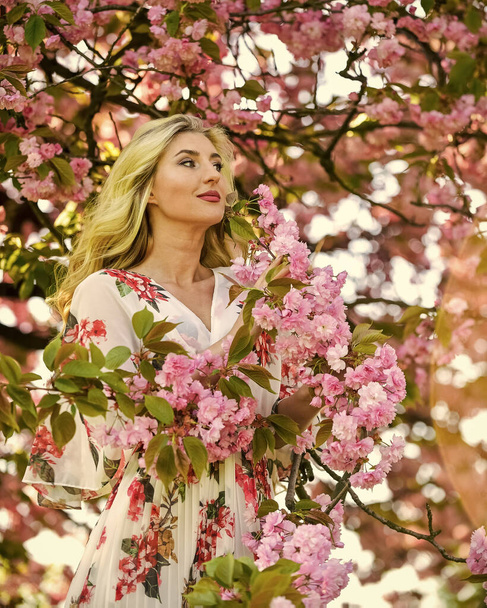Memorize this moment. healthy beauty. pink sakura flowers. natural beauty and cosmetics. female flower perfume. beauty of spring nature. attractive woman with makeup. girl has long curly blonde hair - Photo, image