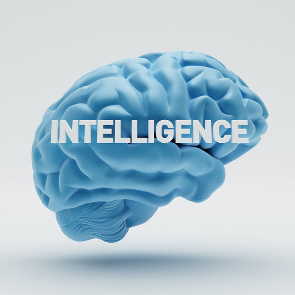 Intelligence Brain  - Foto, Imagem