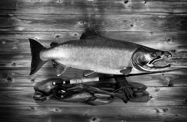 salmón salvaje pacífico y equipo de pesca con mosca en pared de madera rústica con efecto vintage  - Foto, Imagen