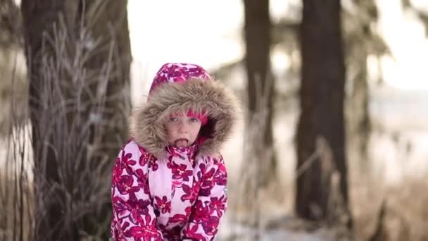 Een meisje lacht in de winter en brengt een goede dag, portret - Video