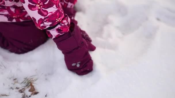 Een meisje lacht in de winter en brengt een goede dag, portret - Video