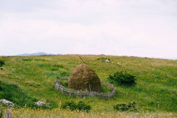 Oplocený kupka sena v národním parku Durmitor. Černá - Fotografie, Obrázek
