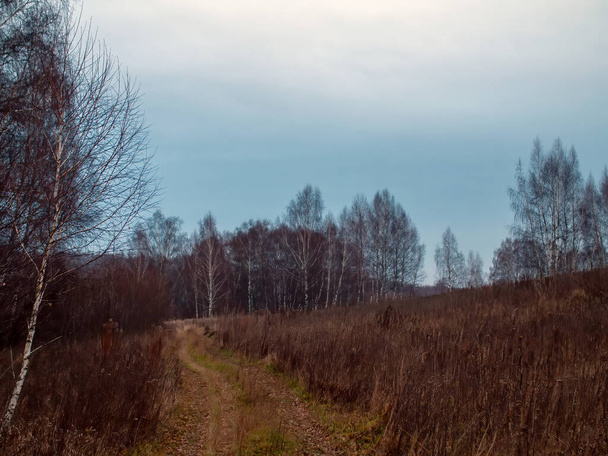 dirt road through the field on a cloudy day, in autumn - Foto, afbeelding