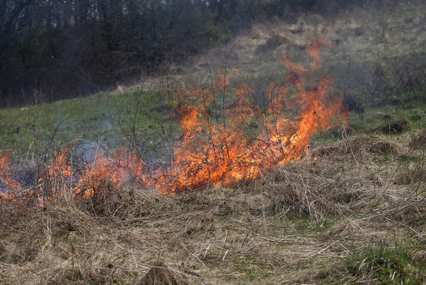 Пожар на траве или кустарник в дикой природе
 - Фото, изображение