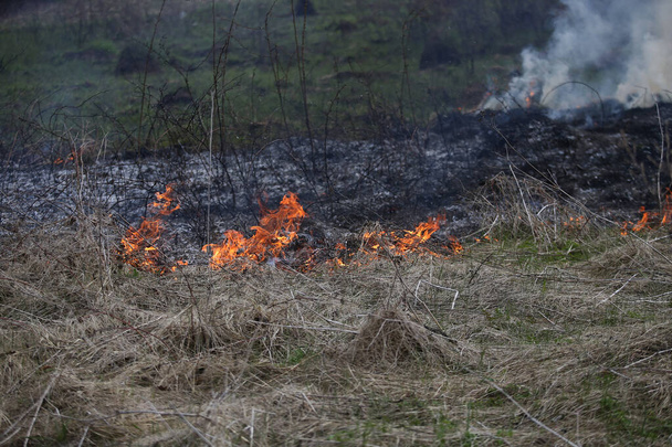 Пожар на траве или кустарник в дикой природе
 - Фото, изображение